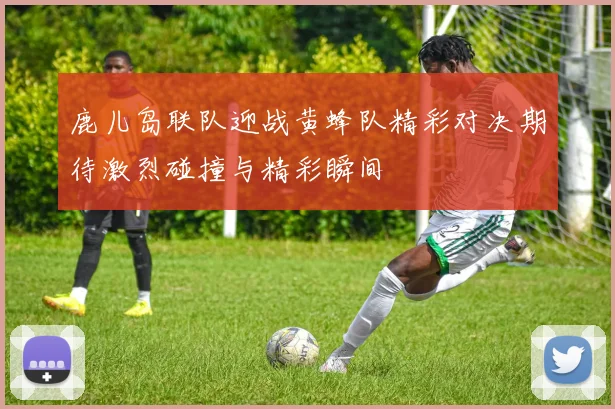 鹿儿岛联队迎战黄蜂队精彩对决期待激烈碰撞与精彩瞬间